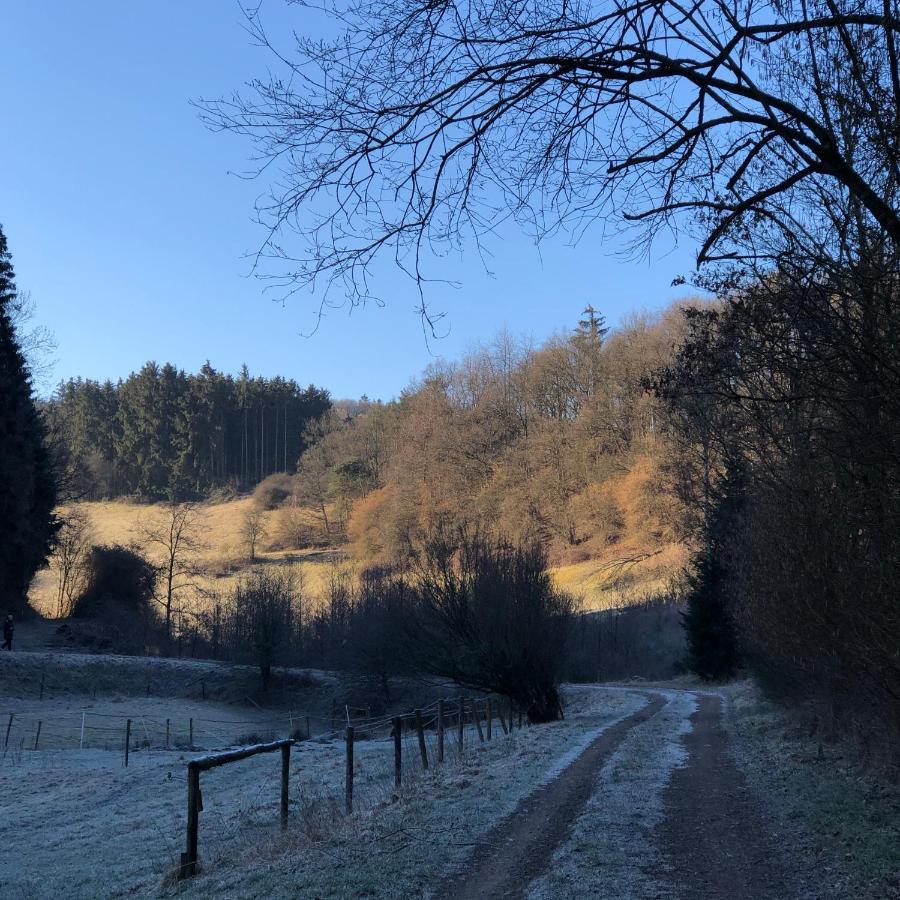 Ferienhaus Waldbaden Im Nationalpark Eifel- Am Bach Schleiden Exterior foto