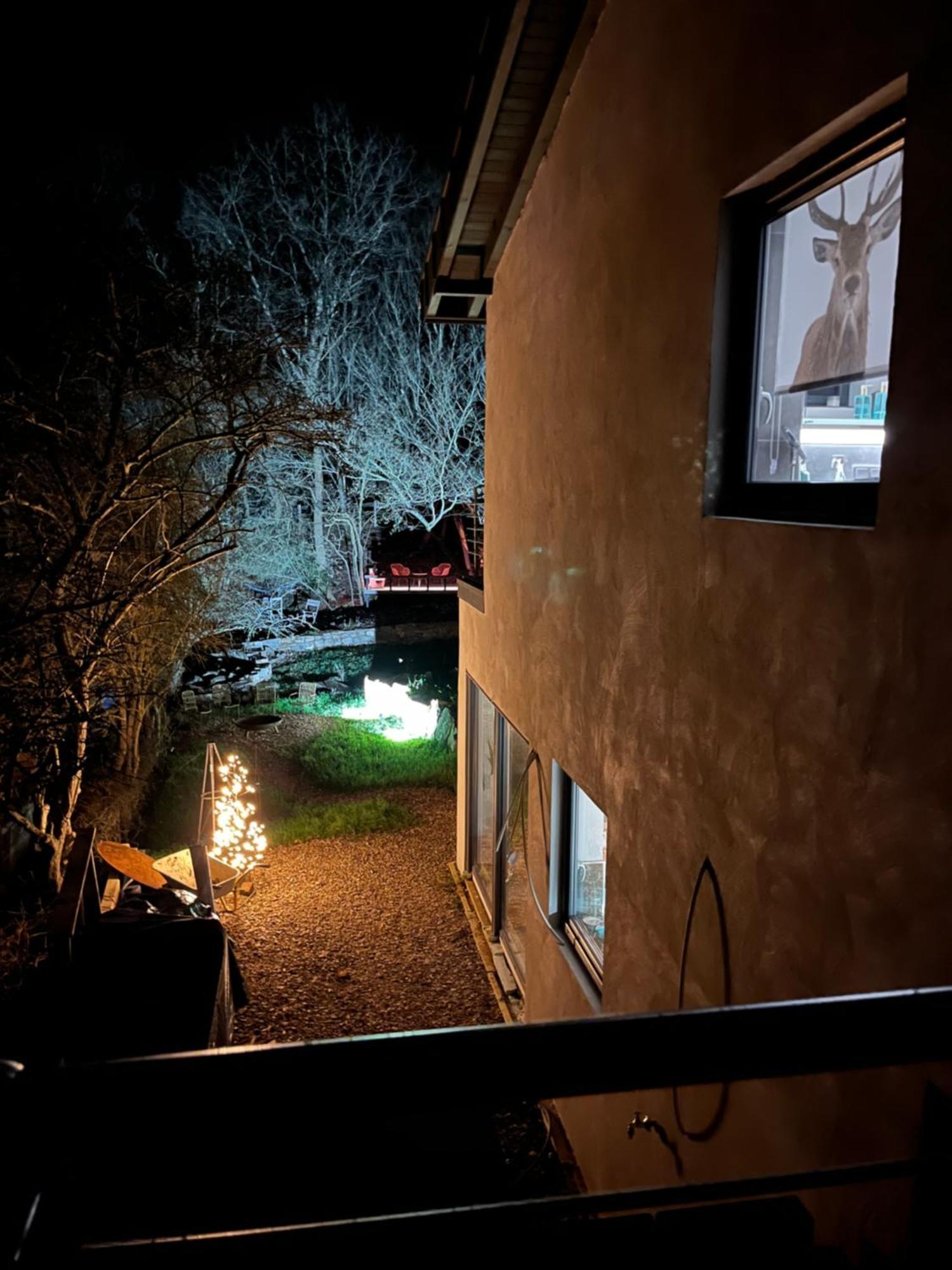 Ferienhaus Waldbaden Im Nationalpark Eifel- Am Bach Schleiden Exterior foto